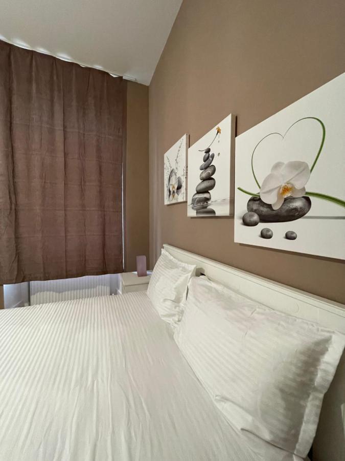 Schei Central Studios In The Heart Of Brasov Luaran gambar