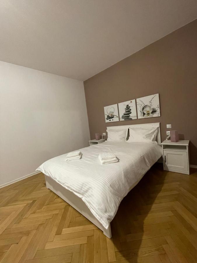 Schei Central Studios In The Heart Of Brasov Luaran gambar