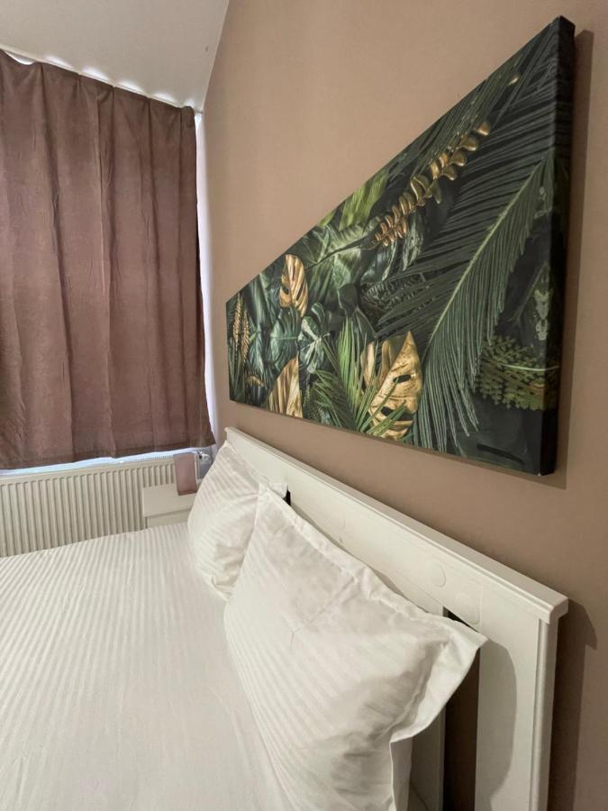 Schei Central Studios In The Heart Of Brasov Luaran gambar