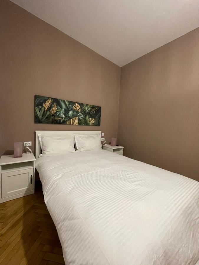 Schei Central Studios In The Heart Of Brasov Luaran gambar