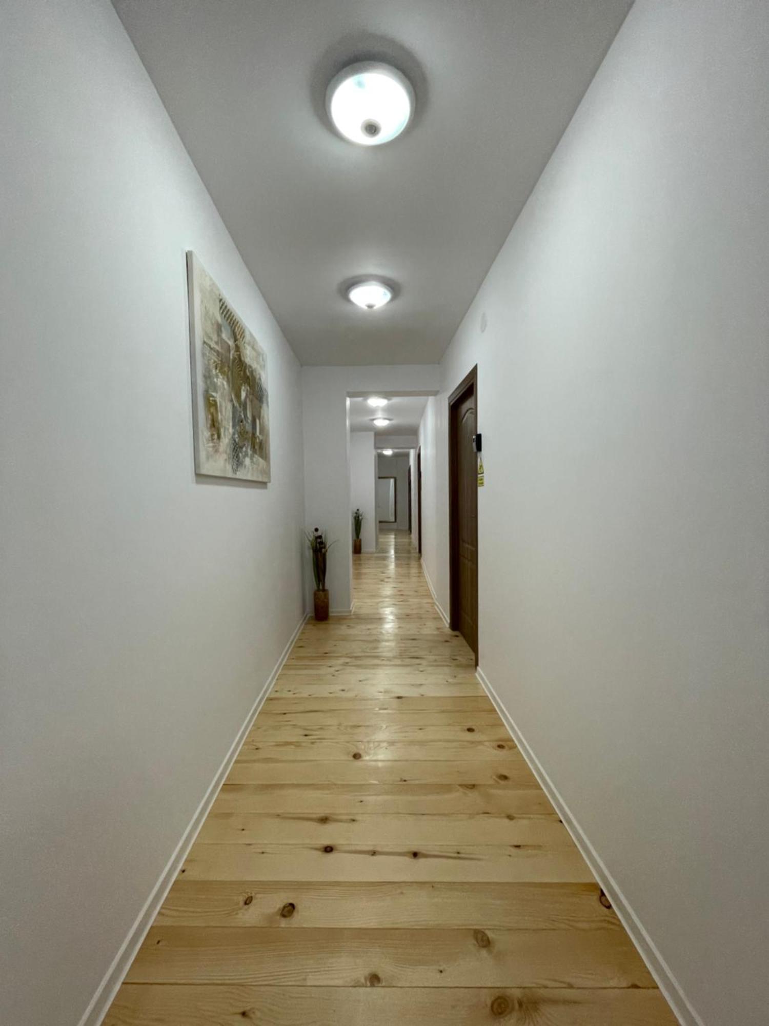 Schei Central Studios In The Heart Of Brasov Luaran gambar